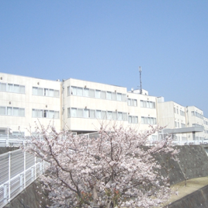00000232_image_4.jpg