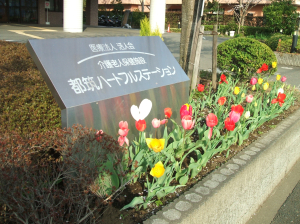 00000898_image_4.jpg