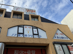 00001032_image_4.jpg